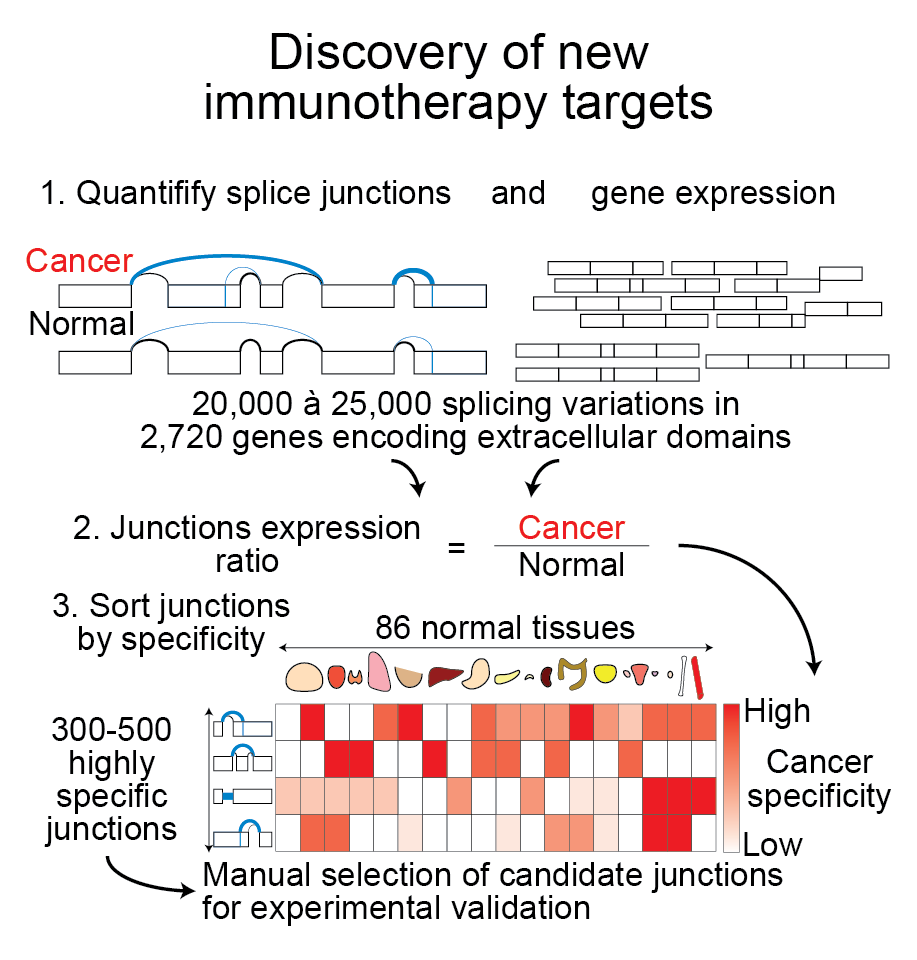 neoantigen_summary